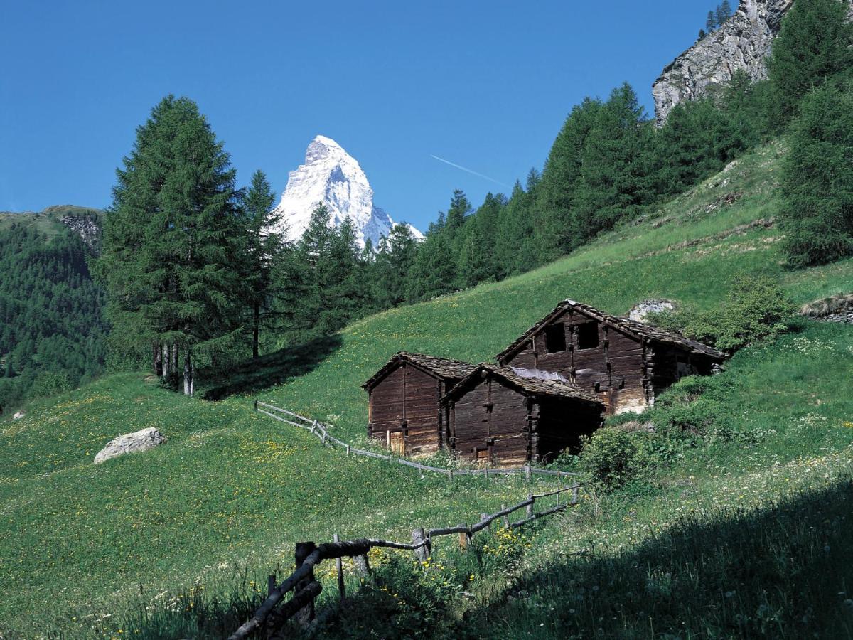 Apartment Armina By Interhome Zermatt Exteriör bild